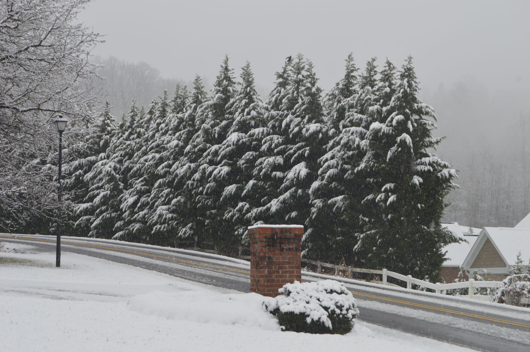 Snow day 14.JPG